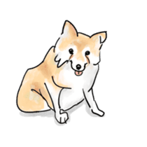 Clever Choito got old sticker #13968037