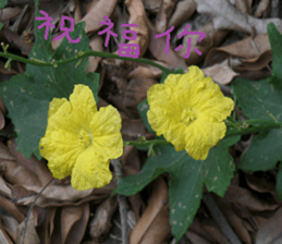 A picture of the landscape sticker #13968382