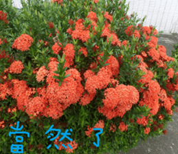 A picture of the landscape sticker #13968384