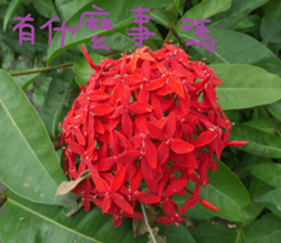 A picture of the landscape sticker #13968385