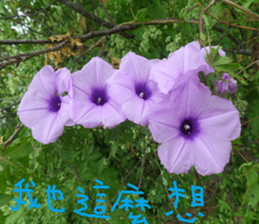 A picture of the landscape sticker #13968386