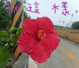 A picture of the landscape sticker #13968388