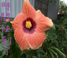 A picture of the landscape sticker #13968389