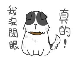 My sister is a dog sticker #13970744