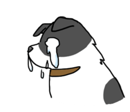 My sister is a dog sticker #13970757