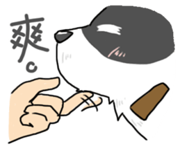 My sister is a dog sticker #13970760