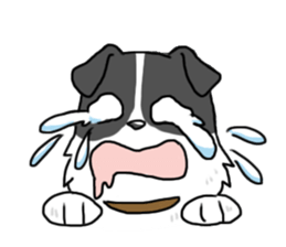 My sister is a dog sticker #13970763