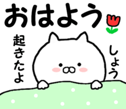 Name Sticker sho can be used sticker #13970807