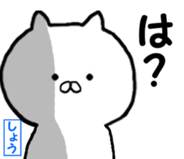 Name Sticker sho can be used sticker #13970811