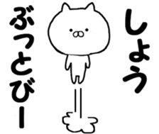 Name Sticker sho can be used sticker #13970814