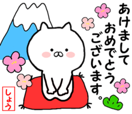 Name Sticker sho can be used sticker #13970836