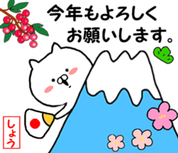 Name Sticker sho can be used sticker #13970837