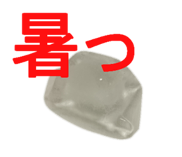 ICE san sticker #13971898