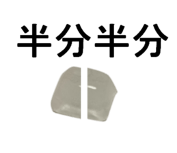 ICE san sticker #13971924