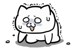 Move!Dogeza Cat sticker #13972400