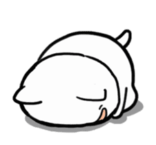 Move!Dogeza Cat sticker #13972402