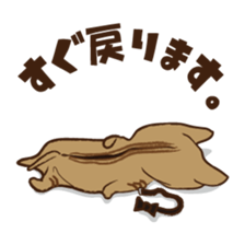 Maron 2 - House steward cat of Hitokuri. sticker #13972869