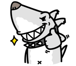 Shark Dog surf sticker #13973498