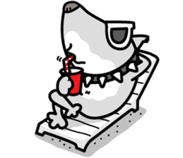 Shark Dog surf sticker #13973511