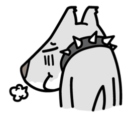 Shark Dog surf sticker #13973520