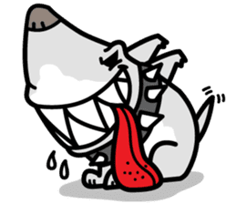 Shark Dog surf sticker #13973523