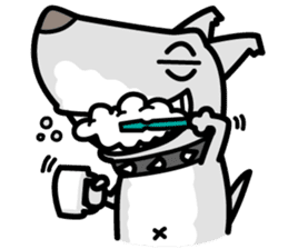 Shark Dog surf sticker #13973528