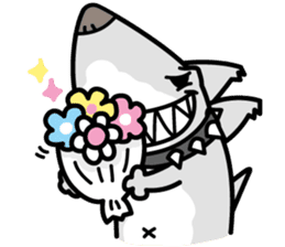 Shark Dog surf sticker #13973531