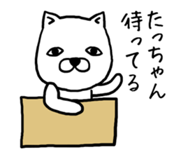 Tachan dog sticker #13974682