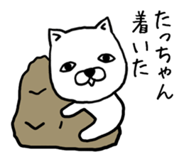 Tachan dog sticker #13974685