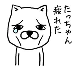 Tachan dog sticker #13974695