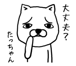 Tachan dog sticker #13974698