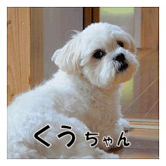 pretty "kuu"