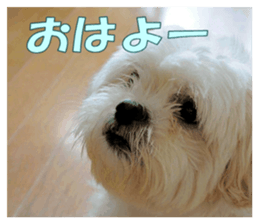 pretty "kuu" sticker #13975990