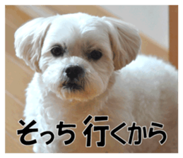 pretty "kuu" sticker #13975992
