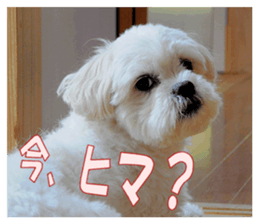 pretty "kuu" sticker #13975993