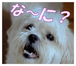 pretty "kuu" sticker #13975994