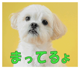 pretty "kuu" sticker #13975996