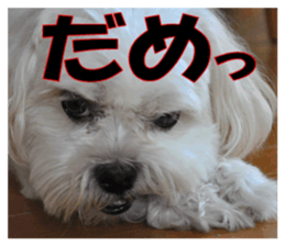 pretty "kuu" sticker #13975998