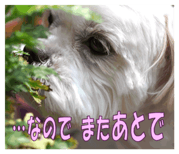 pretty "kuu" sticker #13976000