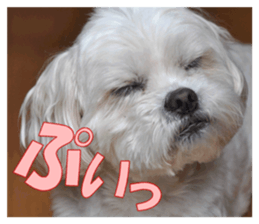 pretty "kuu" sticker #13976001