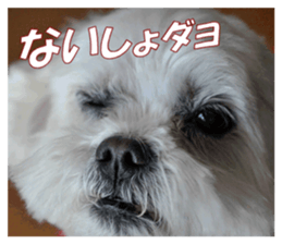 pretty "kuu" sticker #13976002