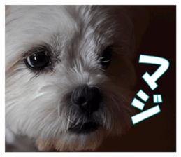 pretty "kuu" sticker #13976003