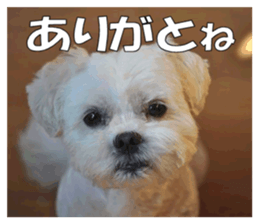 pretty "kuu" sticker #13976004