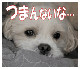 pretty "kuu" sticker #13976005