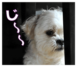pretty "kuu" sticker #13976006