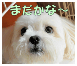 pretty "kuu" sticker #13976008