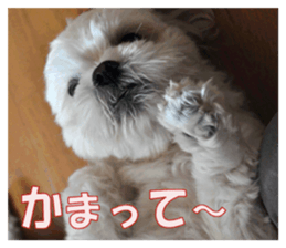 pretty "kuu" sticker #13976009