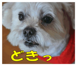 pretty "kuu" sticker #13976010
