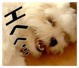 pretty "kuu" sticker #13976013