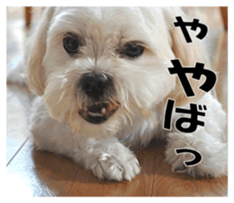 pretty "kuu" sticker #13976014